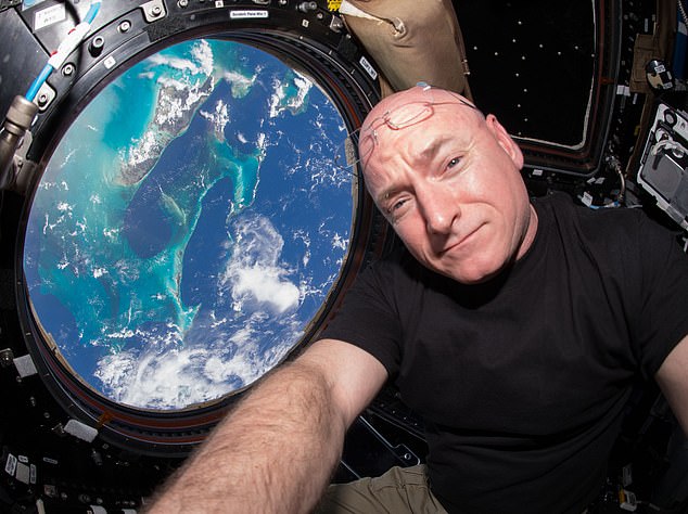 NASA astronaut Scott Kelly (pictured) inside the cupola, a module of the International Space Station (ISS). With extended stays aboard the ISS commonplace, and the likelihood of humans spending longer periods in space increasing, there is a need to better understand the effects of microgravity on cardiac function