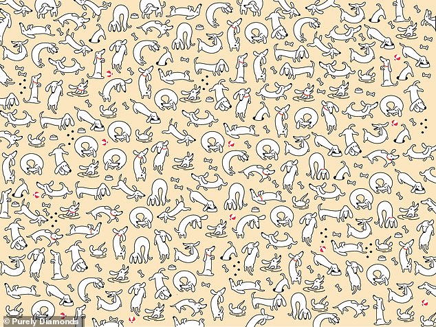 Purely Diamonds has put together a new doggy themed brainteaser that features a hidden engagement ring hanging from one of the pup's collars