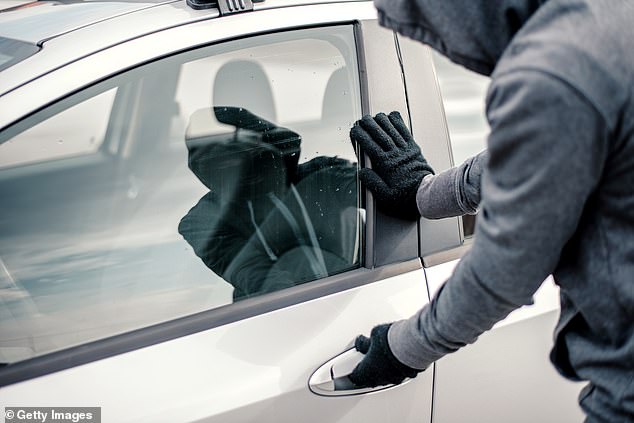 The 23-year-old crawled into the car where she cracked the 80-year-old nun's rib (stock image)