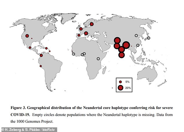 Professor Zeberg and Dr Pääbo said the Neanderthal genes are most common in people of South Asian ethnicity, particularly Bangladeshis, and considerably less common in Europeans (Pictured: A map of where the genes are most common)