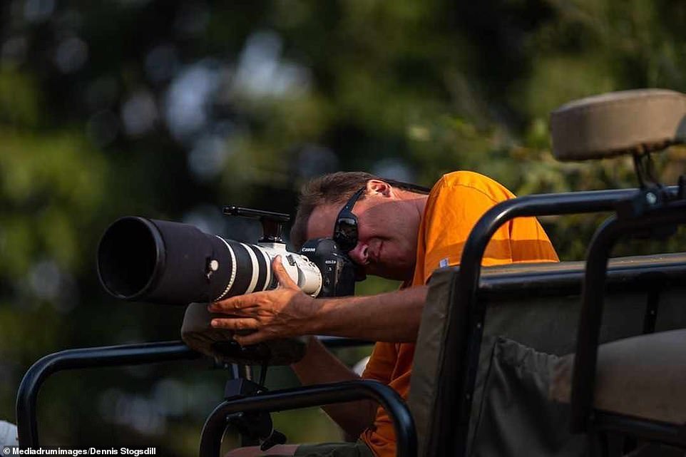 Mr Stogsdill (pictured) was perfectly situated to capture the lead-up to the zebra's death, as well as the moment the crocodile finished it off