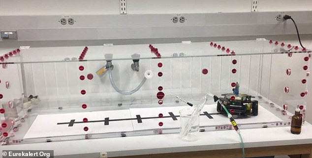 The team designed an 'odor box and locust mobile' to see how well the locust can detect bombs. The team pumped different vapors into a box and drove the creature around on top of a remote controlled car