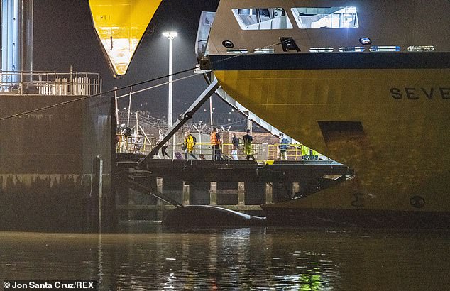 Passengers disembarked from the penultimate ferry to Newhaven from Dieppe last night before the 14-day quarantine rules kicked in