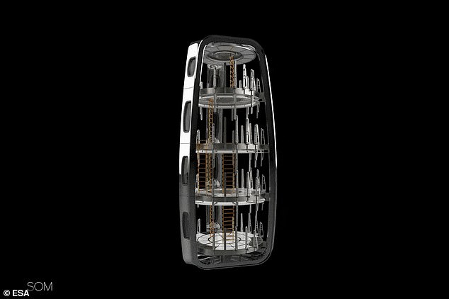 He believe that cylindrical structures for astronauts to live in will start being built within the decade, but they need to protect them against radiation exposure