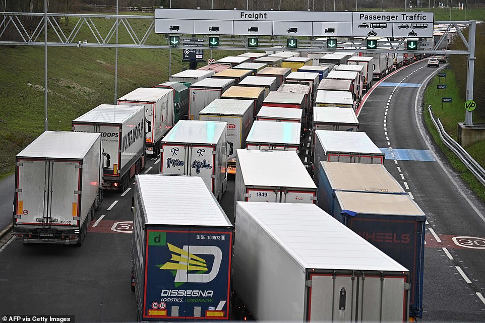 Freight lorries queue at the entrance to the Channel Tunnel freight terminal at Folkestone in Kent this morning