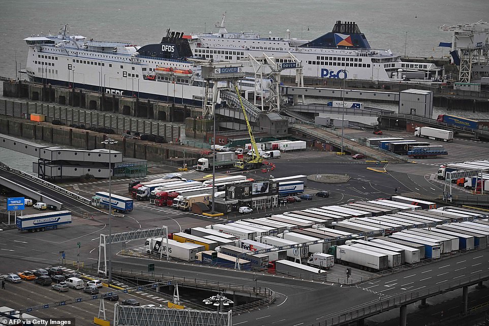 Lorries wait to board their ferries as a P&O ferry and a DFDS ferry are docked at the port of Dover in Kent this afternoon