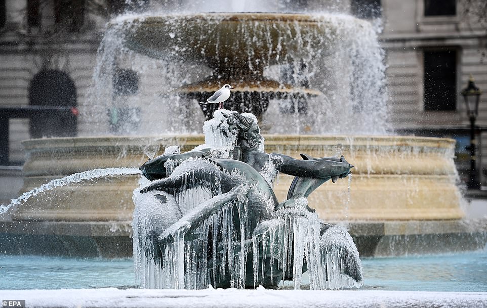 For the first time since 2017 the fountains have frozen over, creating a stunning display of icicles hanging from the dolphins