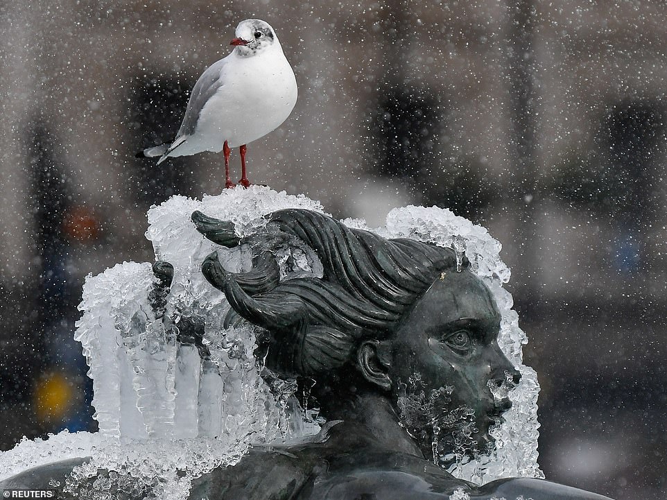 The dramatic profile of frozen merman, surrounded by dolphins. The fountains last froze in December 2017