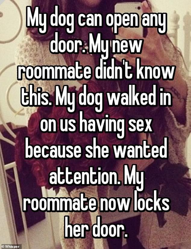Another user said that their flatmate has started locking her door after their dog, who they claim can open doors, walked in on them having sex