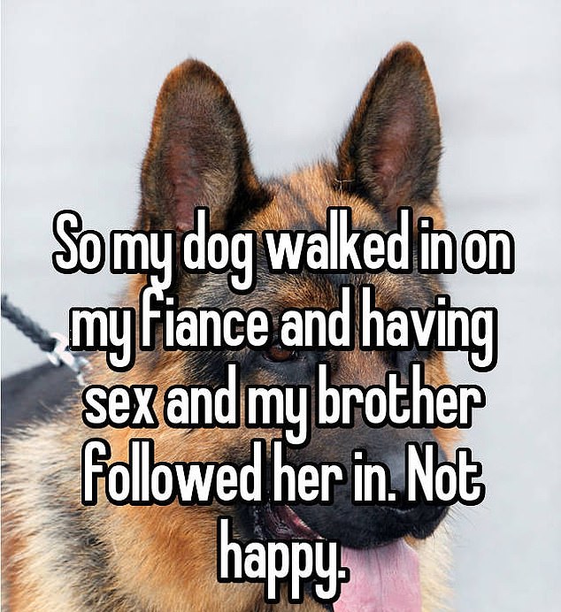 Family affair! This person from Guardbridge, Scotland, was less than pleased with the interruption