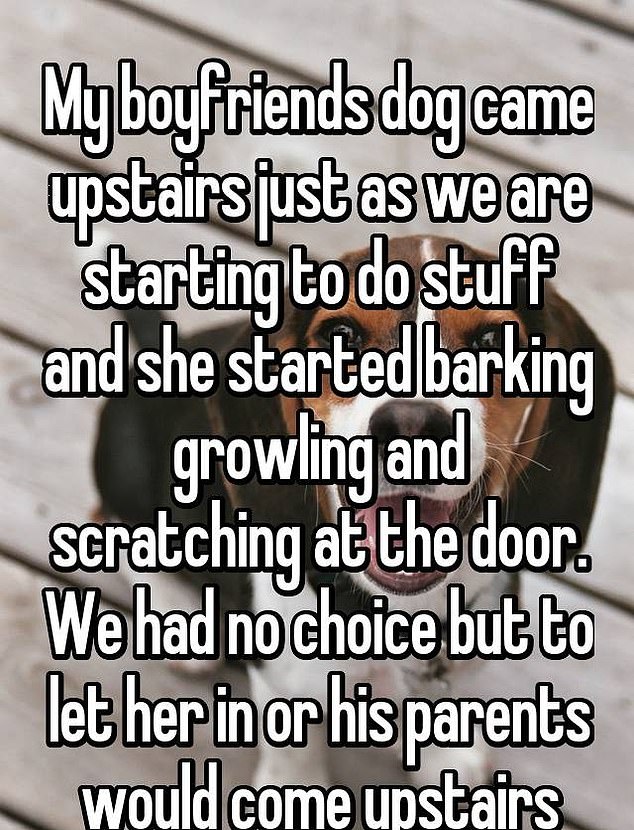 Always watching: This young couple from St. Catharines, Ontario, had to change plans