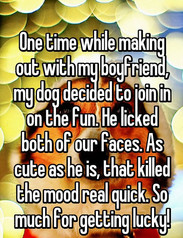 Mood killer: This person, from an unknown location, wasn't happy with her loving dog