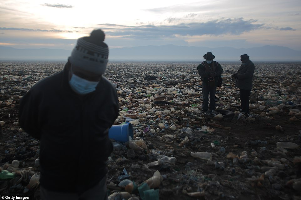 Local and national authorities have agreed to try to clean up the lake and encourage wildlife to return to the area, but ecologists warn the efforts may be too little too late