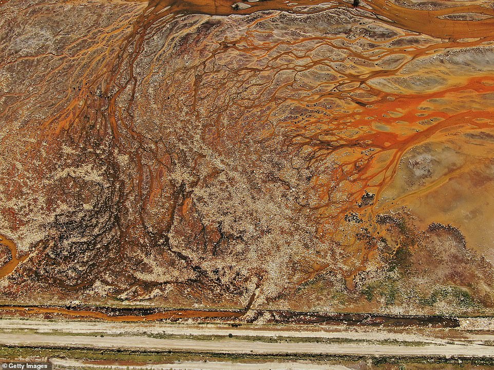 Ecologist Limber Sanchez said Uru Uru was hit with a deadly combination of urban contamination, mining contamination, and climate change, which as caused the lake to shrink