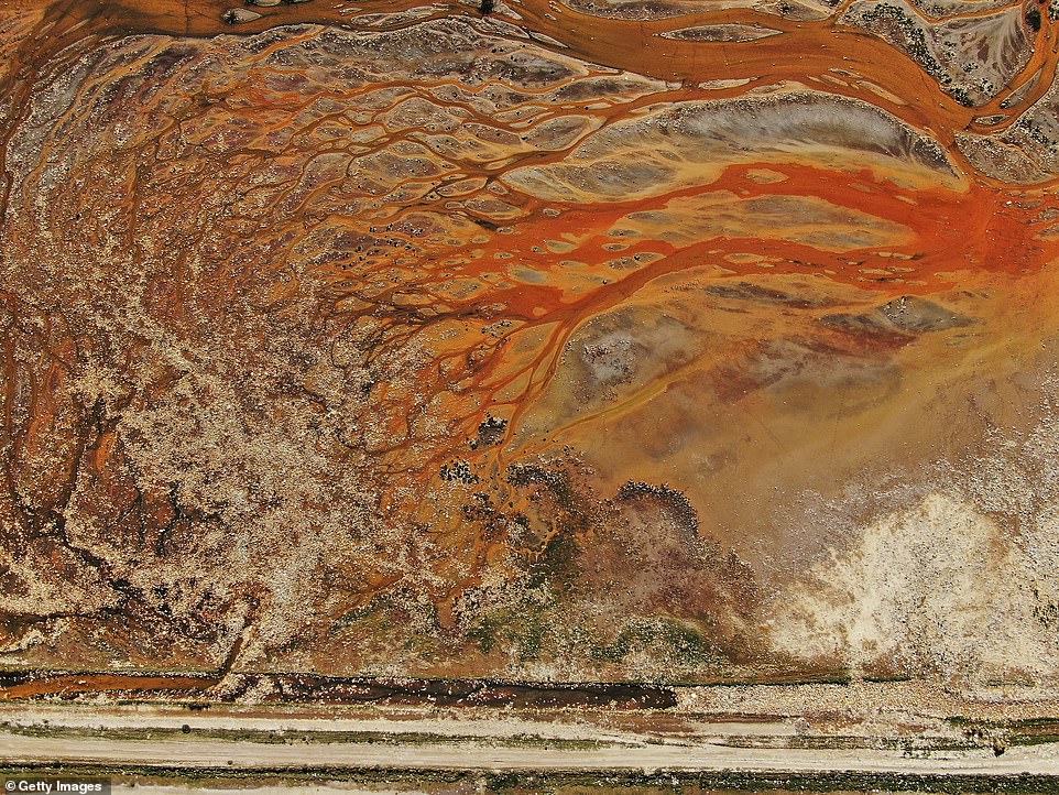 Years of pollution caused by runoff of heavy metals from nearby mines has made the lake inhospitable for the region's once thriving wildlife