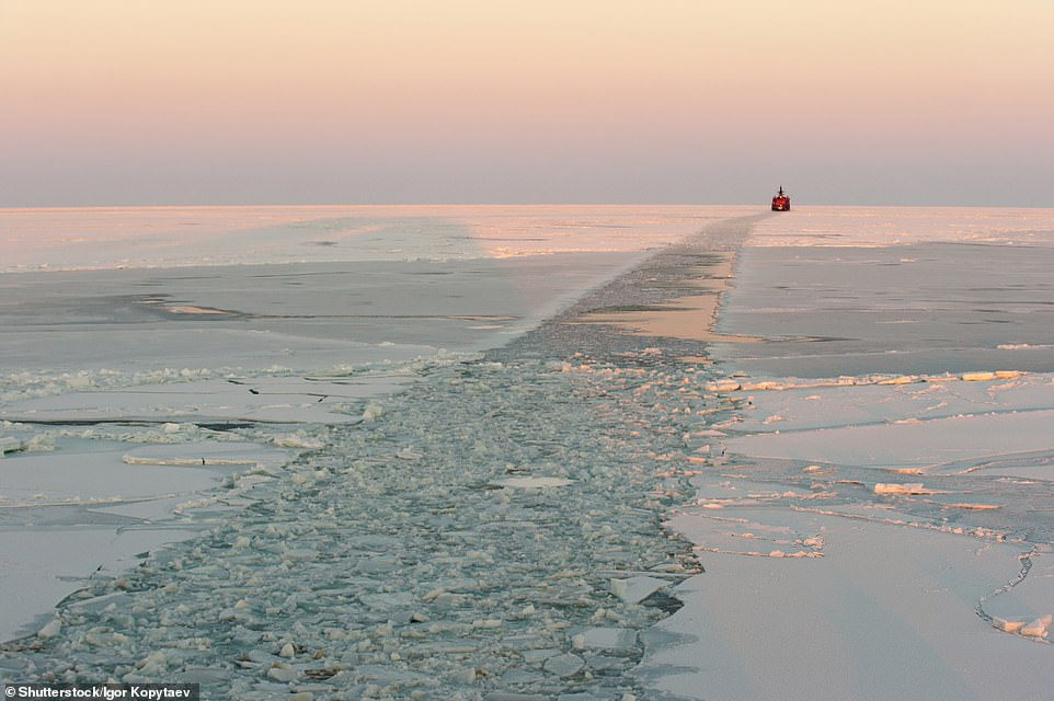 BREAKING THE ICE, RUSSIAN ARCTIC OCEAN: An icebreaker ship forms an ice canal as it passes through the sea ice. Ford explains: 'Sea ice is frozen seawater that floats on the surface, and grows and shrinks with the changing seasons. Over the last 40 years in the Arctic, the area of the ocean covered by ice has decreased by almost 13 per cent per decade. Shrinking sea ice causes global climatic problems because the ice reflects up to 80 per cent of the sunlight it receives back into space. With less ice to deflect this heat, the dark surface of the ocean absorbs a lot more, leading to further warming of the seas and the atmosphere, more melting of ice, and thus further warming. Retreating ice also affects the ocean currents, wildlife that hunt and travel on the sea ice, and can increase coastal erosion'