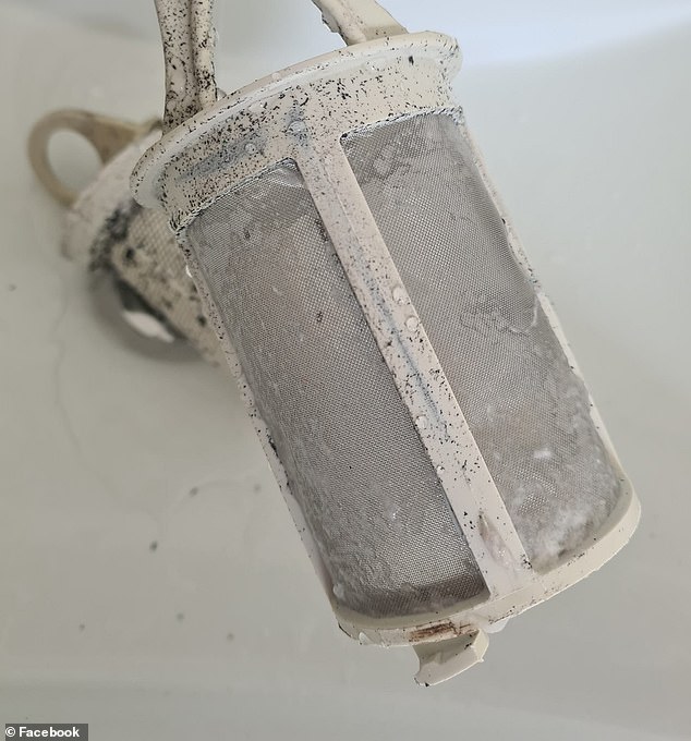 Shocking photos shared in January revealed why you should clean your dishwasher filter at least once a month (pictured)