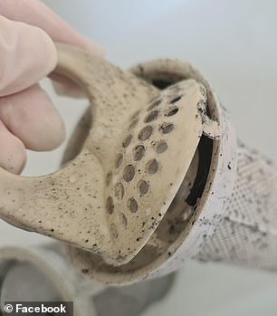 A mother shared the photos in a Facebook group, warning others about the grime and 'black mould' that appears to have accumulated inside her machine over a short period of time