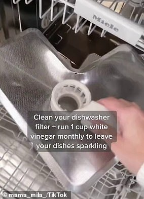 Chantel shared her five-step method for cleaning your dishwasher (pictured)