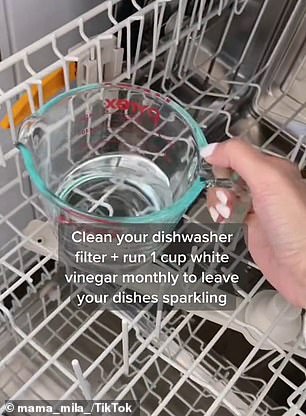 'Run the dishwasher at the hottest temperature for a normal cycle and then let it air dry,' she said (pictured in action)