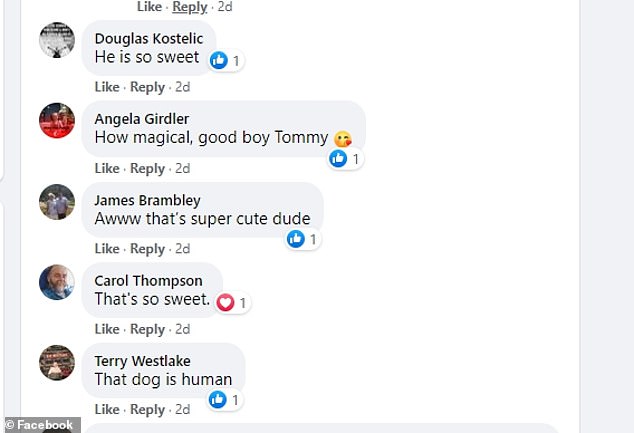 Friends of the family have reacted very positively to the heartwarming footage of Tommy and Macie