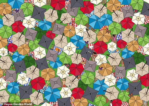 Hayes Garden World has created a tricky summer-themed brainteaser challenging puzzlers to spot the cat having a nap underneath the parasol (pictured)