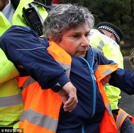FRIDAY: Police officers detain the same Insulate Britain activist blocking a motorway junction on the M4 near Heathrow Airport