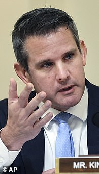 Rep. Adam Kinzinger voted in favor of the bill and is retiring at the end of this term