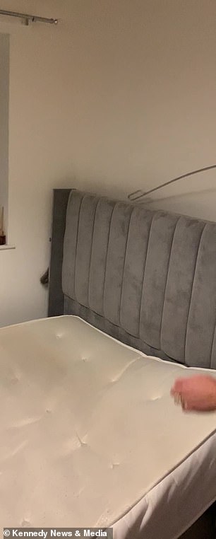 The mother and daughter try to use an attic door pole to tease out the hiding rodent before it jumps out