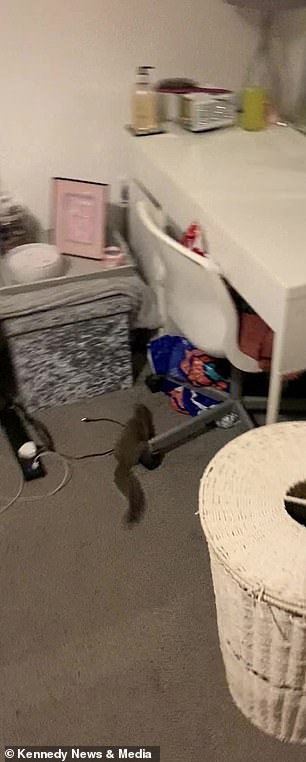 The rodent bounces off the young woman's bed