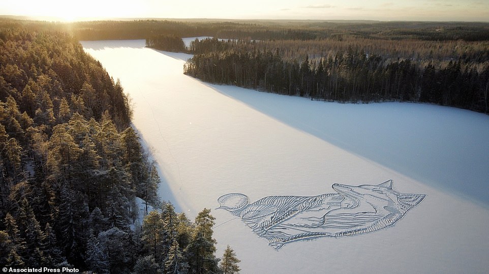 On December 4, Pasi Widgren drew a fox that measures about 90m (295ft) on Lake Pitkajarvi, north of Helsinki