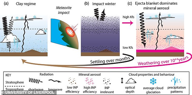 Potassium feldspar, the mineral central to mass extinction events, is non-toxic but acts as a powerful ice-nucleating aerosol that strongly affects cloud dynamics. It allows clouds to let through more solar radiation, which in turn warms up the planet and changes the climate. When this happens it also makes the atmosphere more sensitive to warming from greenhouse gas emissions, such as large volcanic eruptions