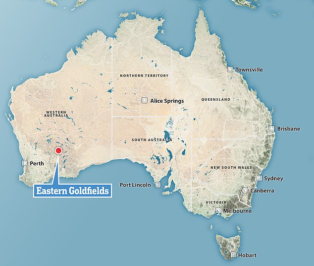 Researchers measured four members of this new species, found underground in the mining area of the Eastern Goldfields Province in Western Australia
