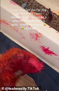 But instead, it made the animal bright pink