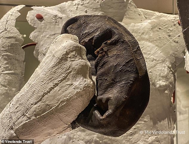 History: The world's oldest boxing glove (pictured) was also uncovered from British peatlands. It was found at the Roman fort of Vindolanda alongside Hadrian's Wall