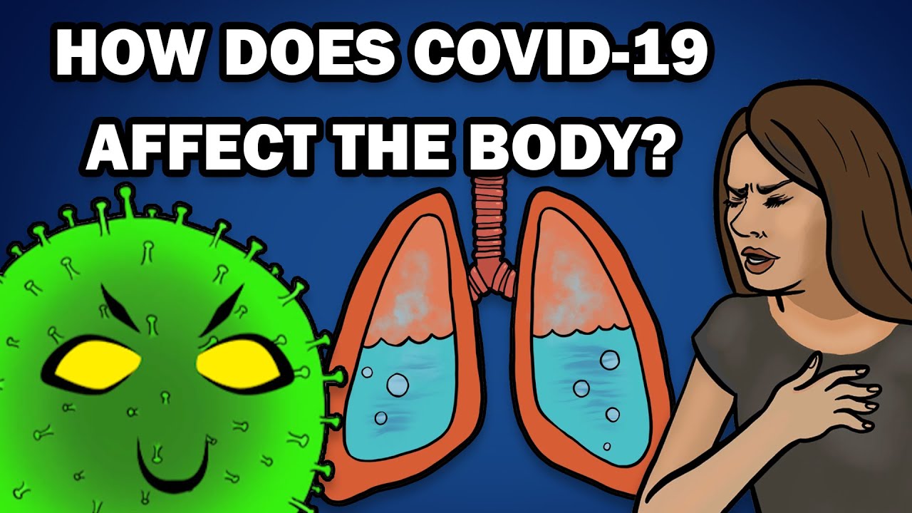HOW DOES COVID-19 AFFECT THE BODY? - YouTube