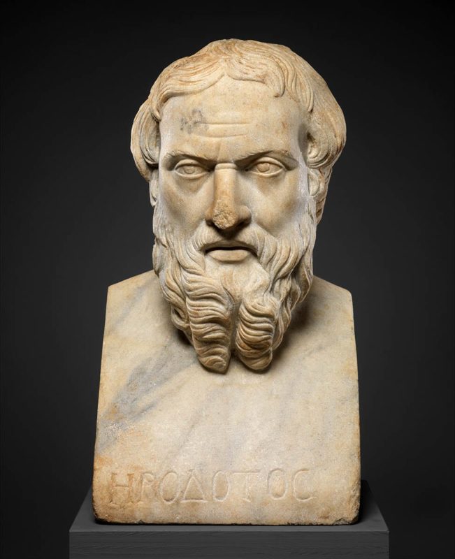 herodotus bust