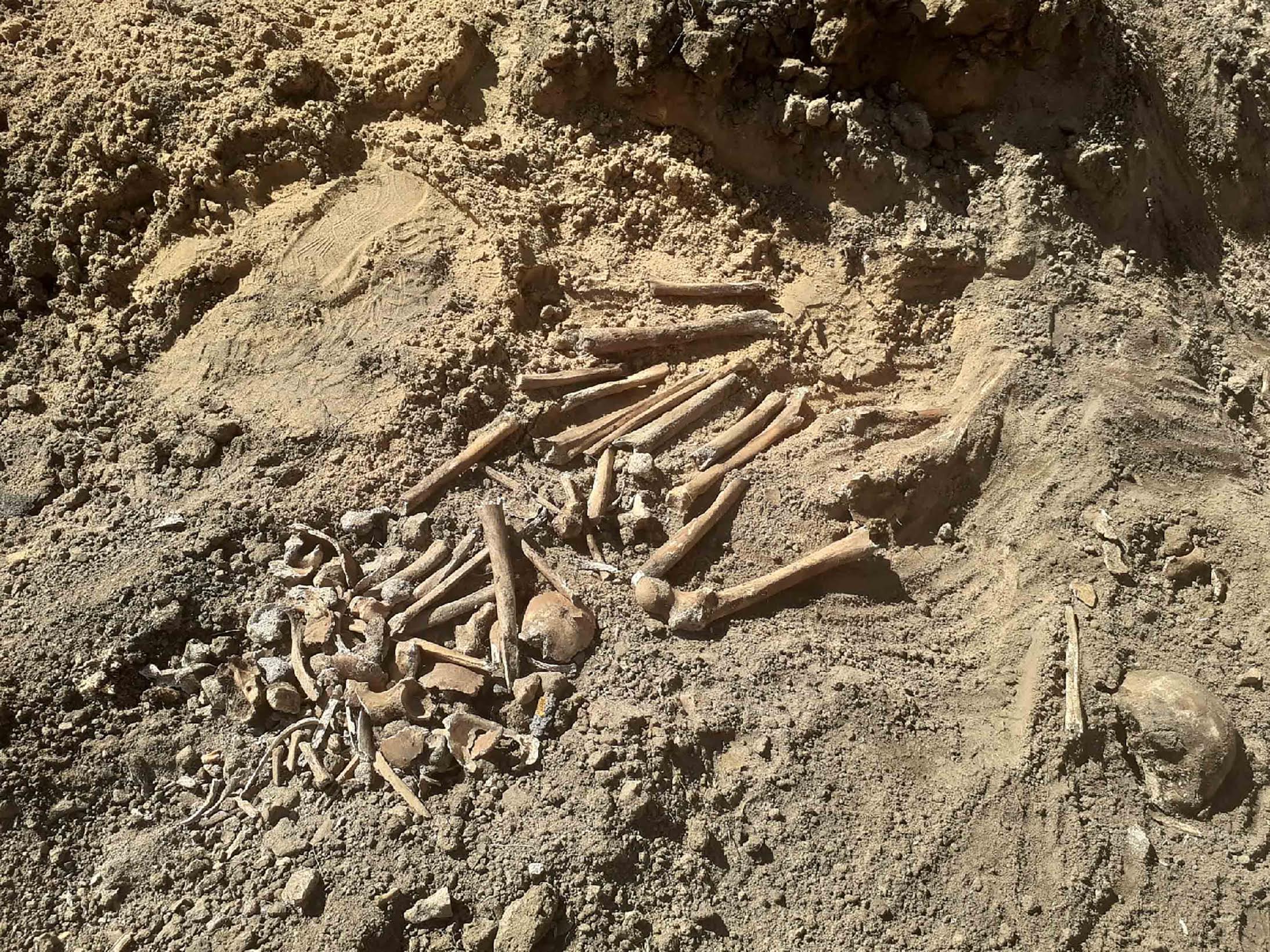 Many of the bones were broken by blunt trauma or had gun shot wounds