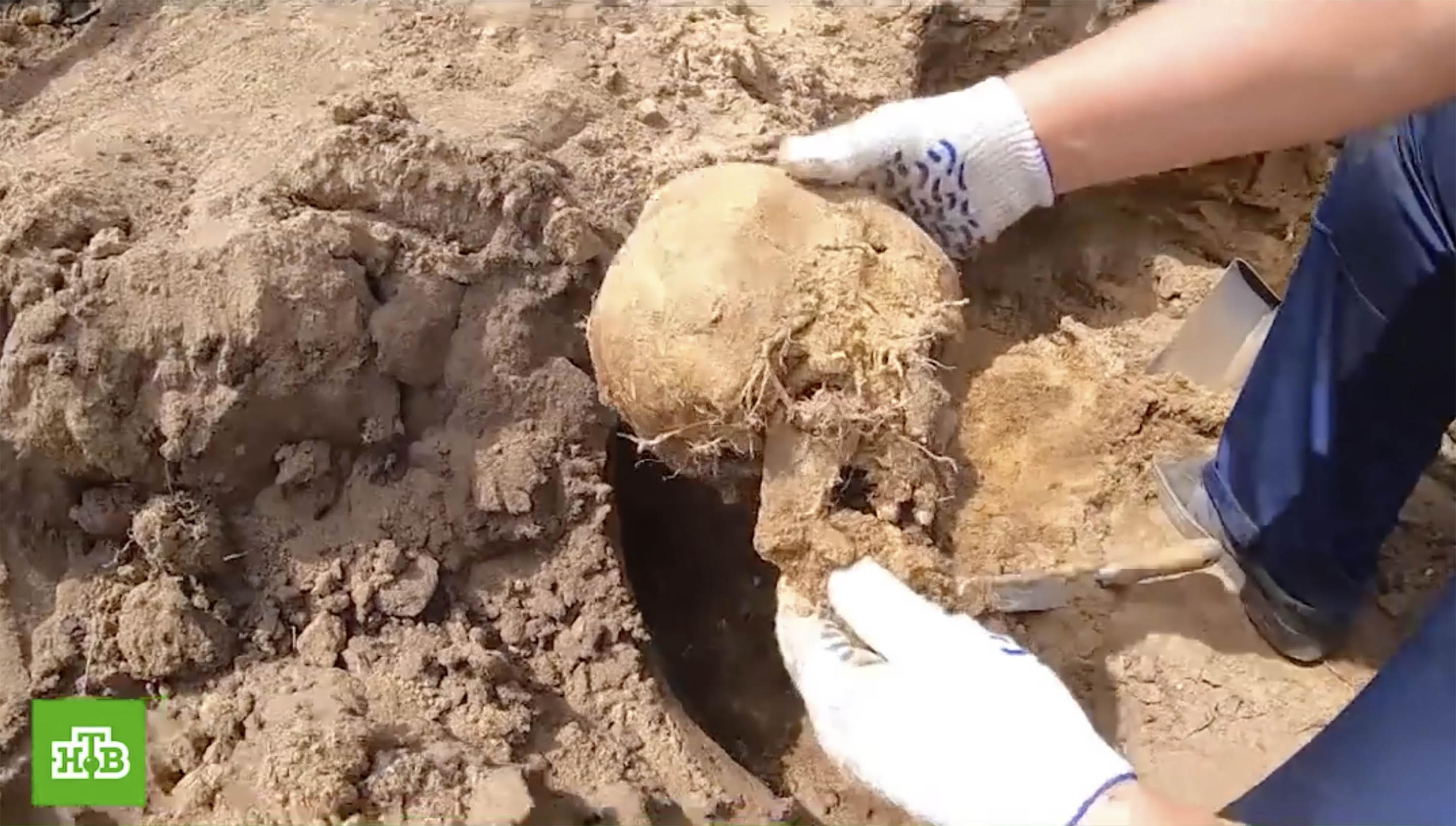 Around 8,500 people are thought to have died at the long-suspected Nazi site