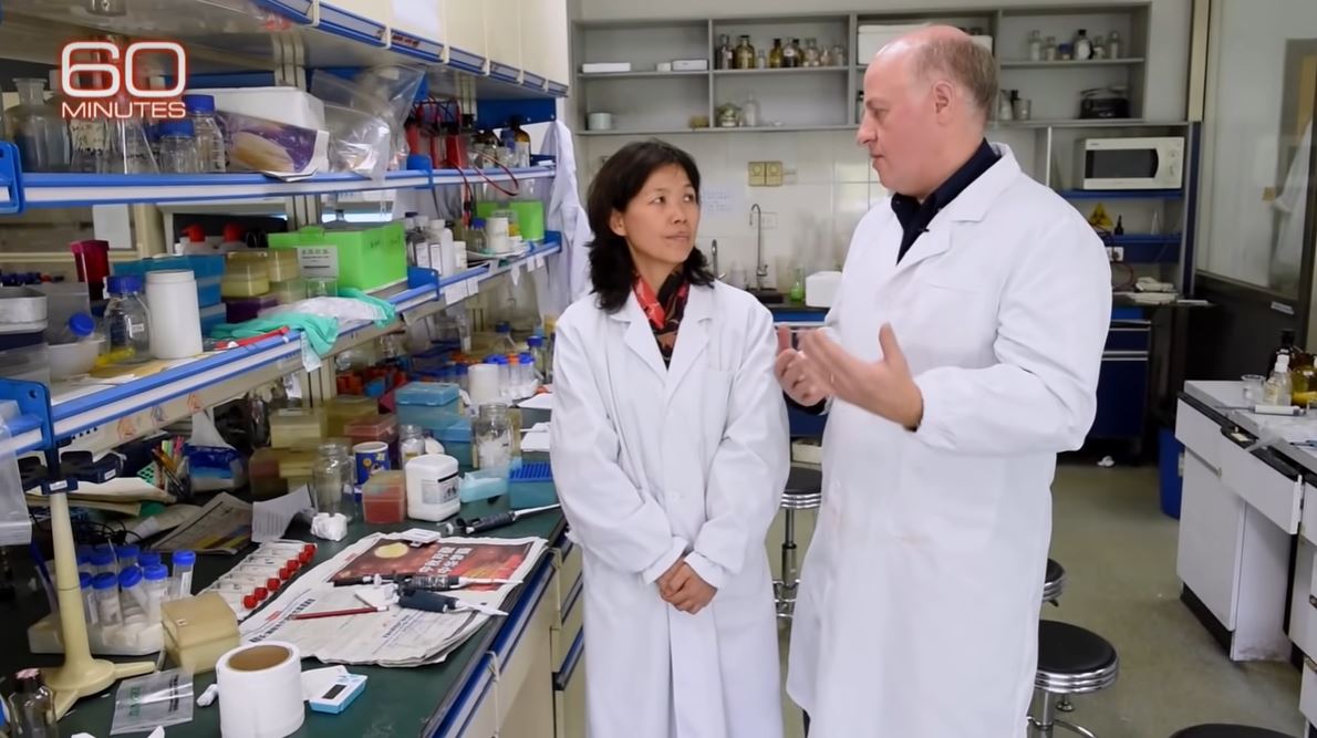 Shi Zhengli at Wuhan Institute of Virology with Peter Daszak, president of EcoHealth Alliance